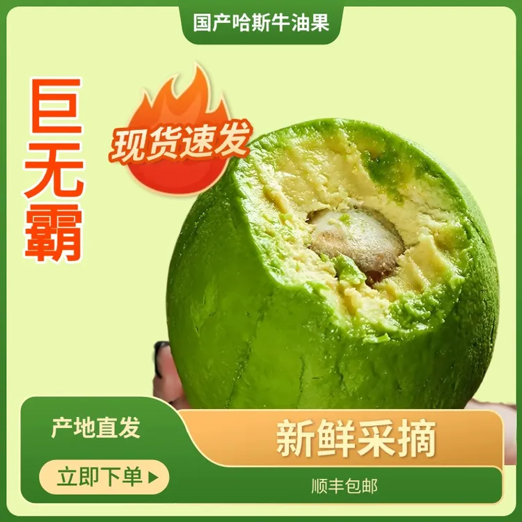 【巨无霸】牛油果中大果产地直发孟连牛油果哈斯牛油果