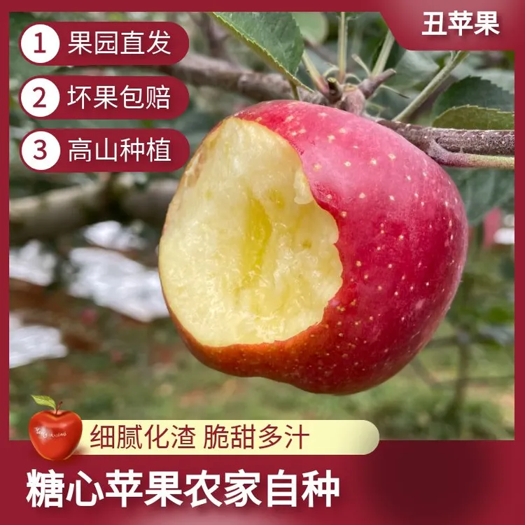 【正宗】云南昭通冰糖心丑苹果新鲜应季脆甜多汁生态水果