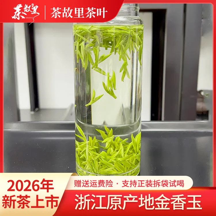 茶故里【S08】2026年新茶上市浙江原产地明前金香玉春茶高山地白茶商品图