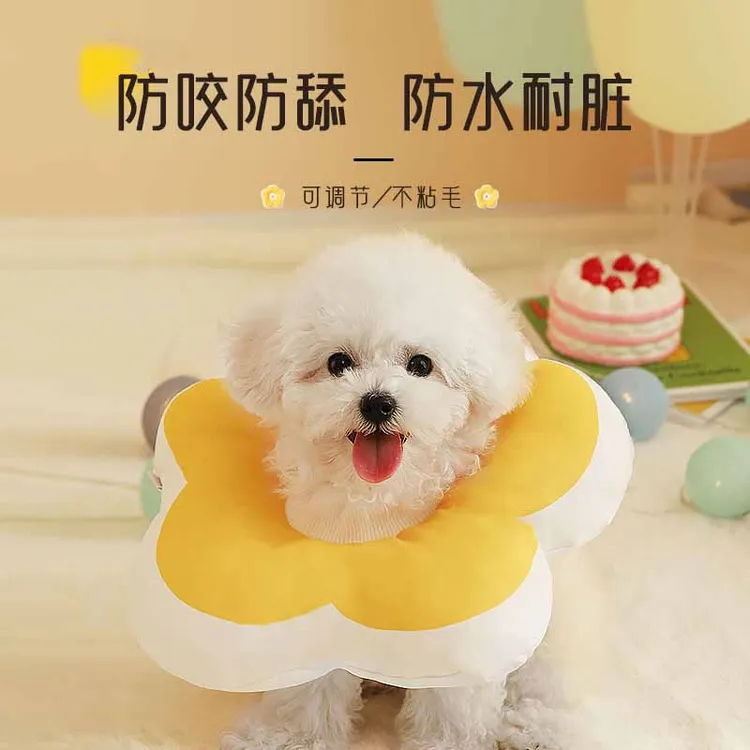 狗狗伊丽莎白圈宠物项圈伊利沙白头套防舔咬软狗脖子围脖脖套脖圈
