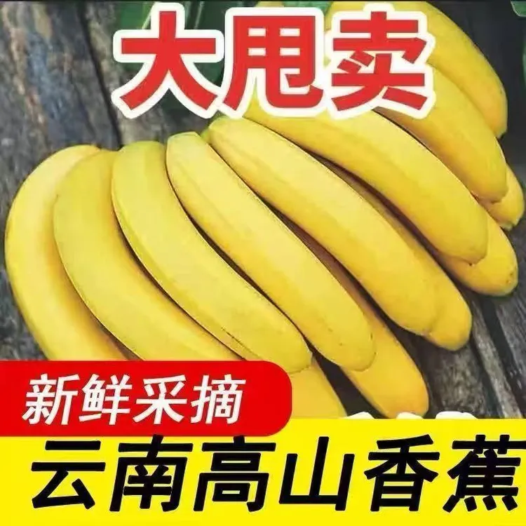 云南高山露天种植自然熟香蕉新鲜清甜软糯应季水果带箱5斤9斤装