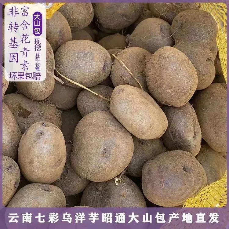 云南大山包小黑洋芋现挖新鲜紫皮乌心土豆七彩土豆当季蔬菜马铃薯