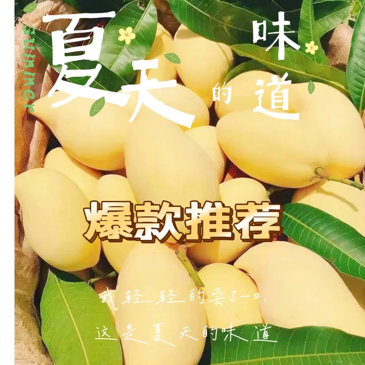 正宗云南保山潞江坝鹰嘴芒果大果新鲜采摘香甜多汁