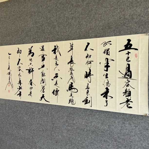 杨秉飞手写书法作品五十已过容颜老