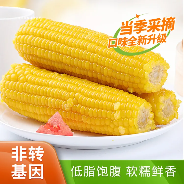 25年东北新玉米早餐鲜食真空低脂代餐甜糯玉米非转基因软糯香甜