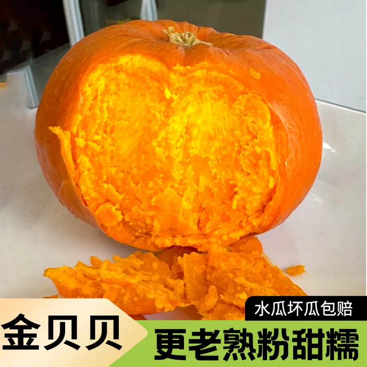 金贝贝南瓜新鲜板栗味红皮小南瓜宝宝辅食粗粮农产品