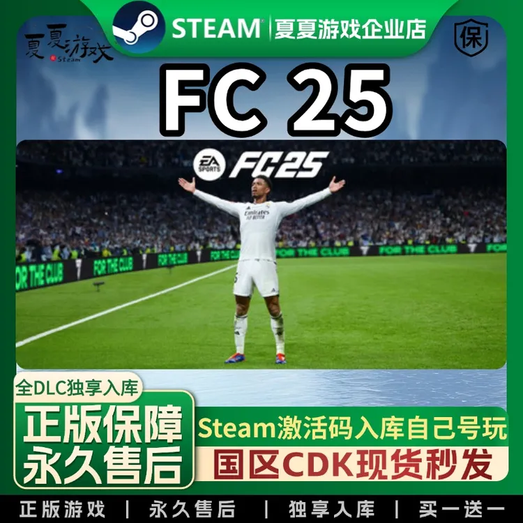 FC 25 steam全球区 CDK 激活码 全DLC 激活入库