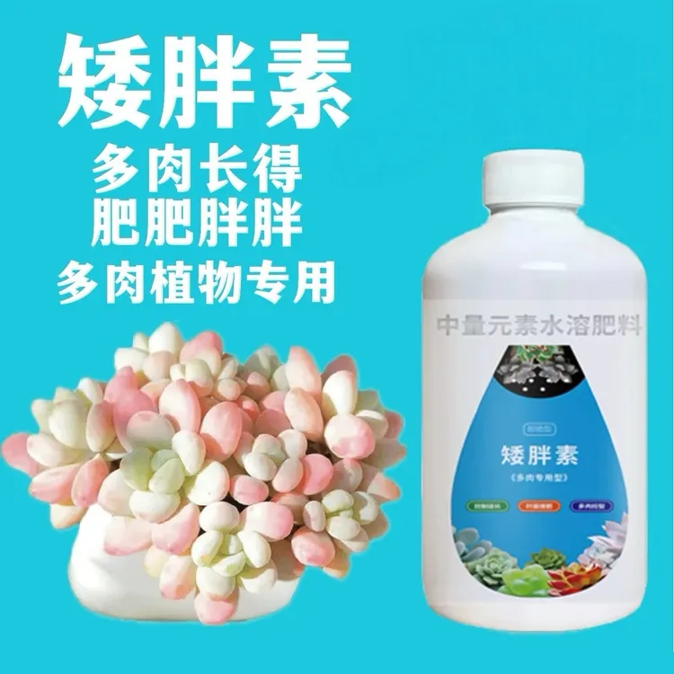 【多肉专用】矮胖素直喷适用多肉植物营养液绿植营养液夏季喷洒增肥商品图