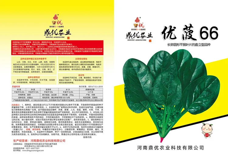 优菠66，颜色油亮，叶片平展，抗病，高产，商品率高蔬菜