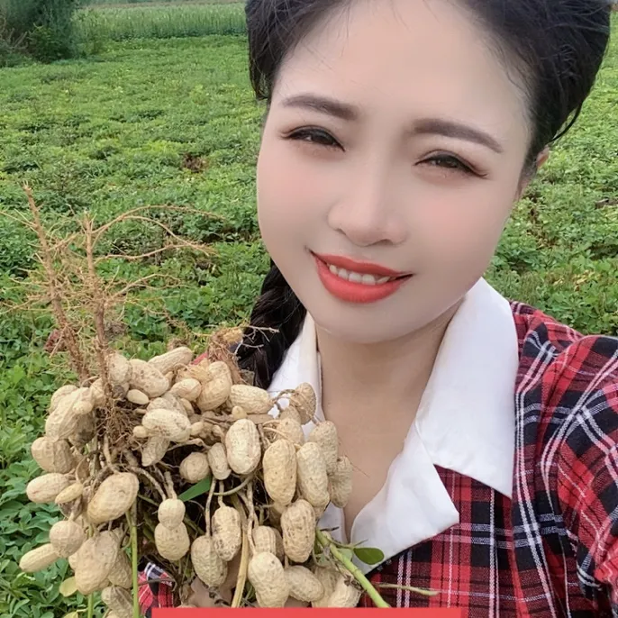 2025年精品新鲜现挖带壳湿花生农家自种可水煮生吃粉皮花生可种