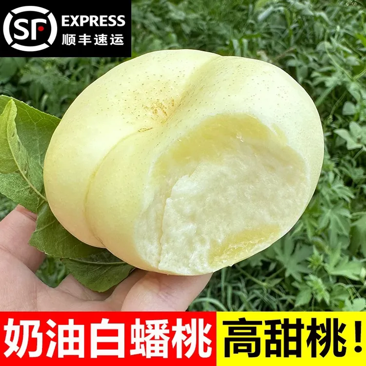 【顺丰包邮】山东蒙阴奶油白蟠桃新鲜现摘当季水果脆甜多汁