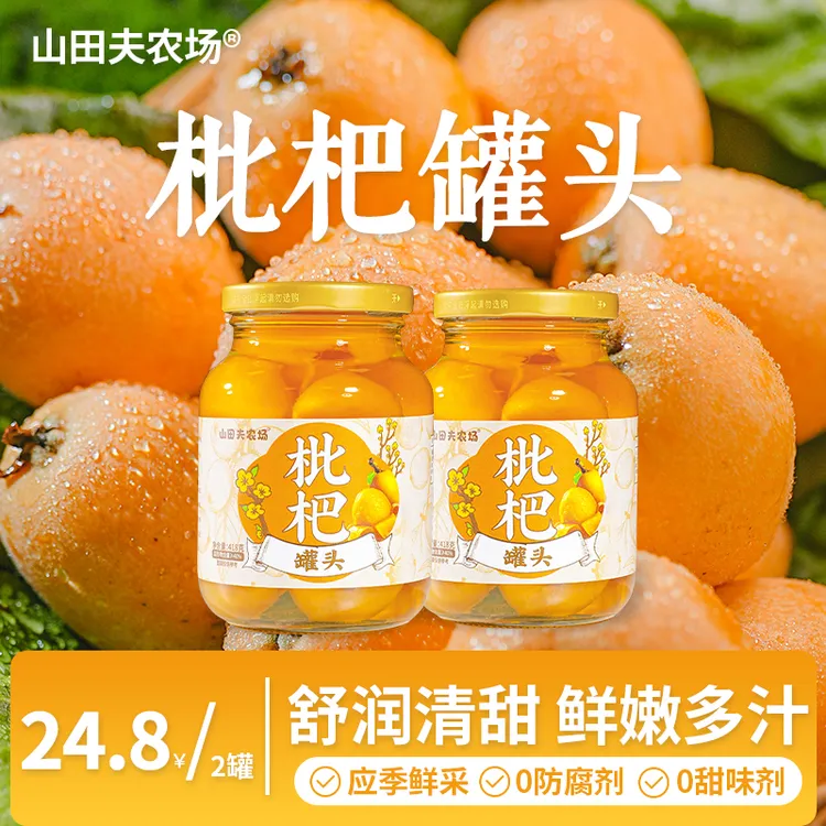 枇杷罐头418g*2罐应季水果罐头果肉饱满舒润清甜中秋送礼新鲜大罐