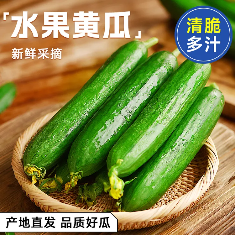 【5斤整箱】现摘水果黄瓜生吃脆新鲜青瓜当季无刺小黄瓜寿光鲜蔬菜