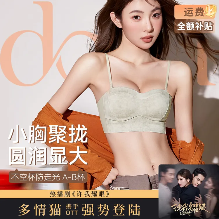 双11好物【琥珀流光】小胸聚拢内衣女款爆款2025新款新中式国风文胸