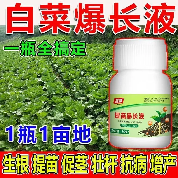 白菜提苗爆长剂白菜家用液长破天叶面肥白菜根系粗壮快速生长