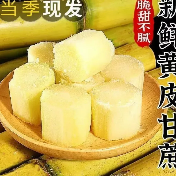 广东新鲜甘蔗黄皮甘蔗黄金甘蔗脆甜多汁现砍现发当季水果卖甘蔗