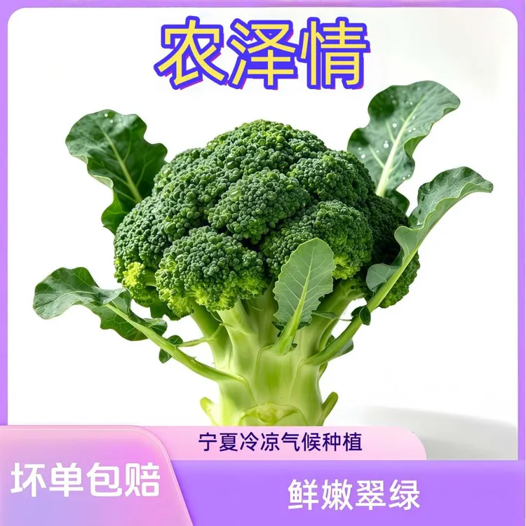 农泽情宁夏冷凉蔬菜西兰花新鲜净重3斤(约3~5颗)单颗约6两-1斤商品图