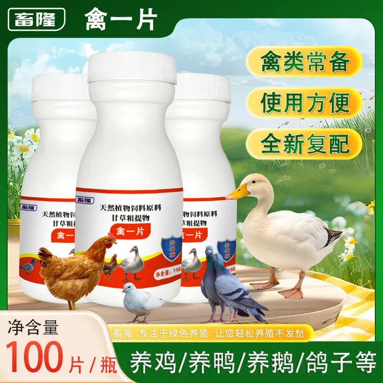 【全新升级】禽一片畜牧鸡鸭鹅鸽子家禽适用饲料添加剂厂家直销