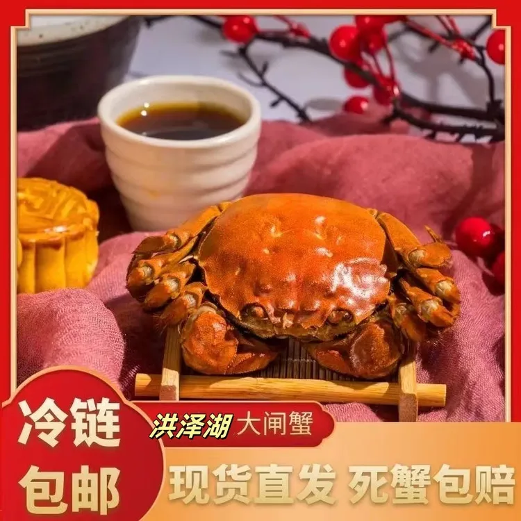【活蟹】洪泽湖大闸蟹母蟹2.4-2.7两/只到手10只母蟹当天捕捞顺丰