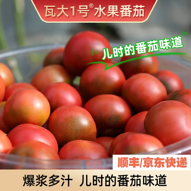 【绿色食品】瓦大1号水果番茄轻食多汁自然熟西红柿孕妇宝宝3-4.5斤
