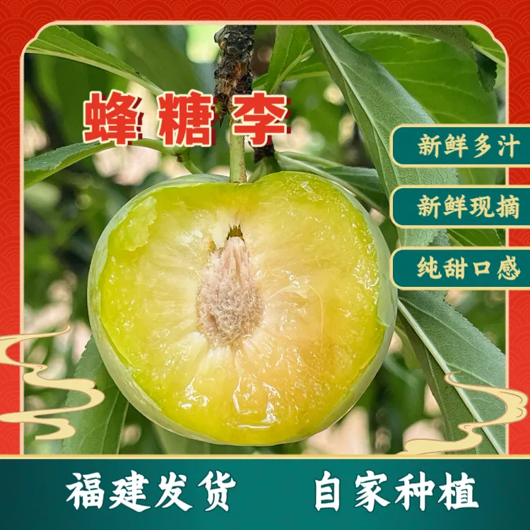 自家种植福建蜂糖李 青脆酸甜可口新鲜当季孕妇水果清脆李5斤装