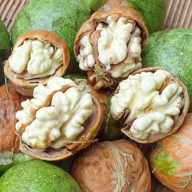 2025年新鲜去青皮香玲核桃湿核桃薄皮脆甜秦岭老树核桃孕妇零食