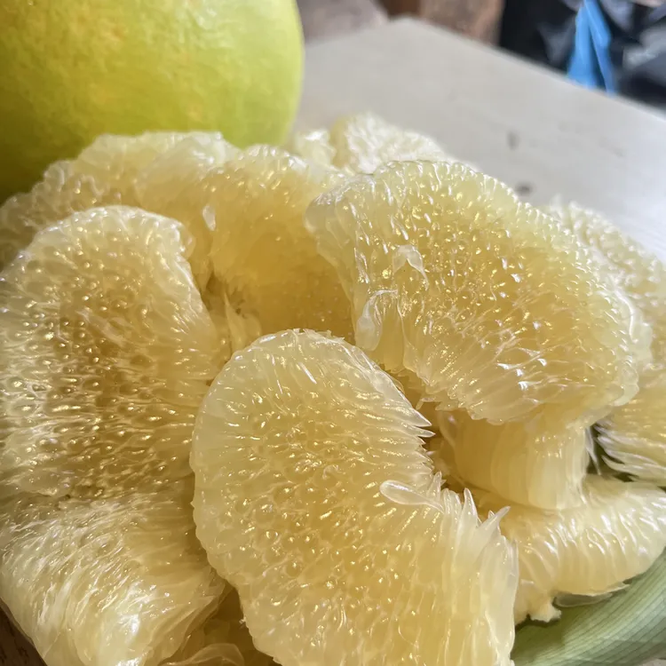 西双版纳生态傣柚【东试早】柚子新鲜应季现摘现发