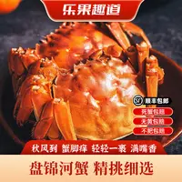 【活蟹】盘锦稻田蟹  1~0.8两/只 全母 2斤 鲜活发货 