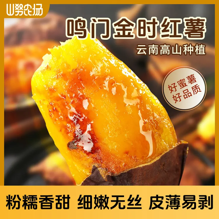 山努鸣门金时红薯云南高山沙地地瓜烤红薯香甜细腻软糯皮薄糖心