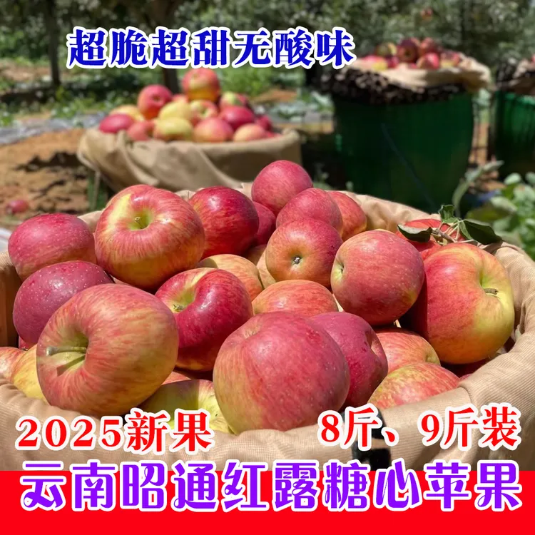 【高品质】红露糖心丑苹果云南昭通高山正当季纯甜脆甜多汁8斤9斤