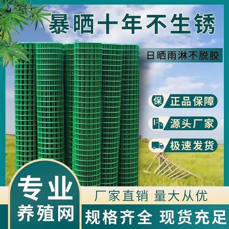 铁丝网围栏养鸡硬塑钢丝网 荷兰网养殖防护网 果园隔离栅栏爬藤网