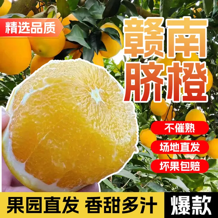 正宗江西赣南脐橙脐橙农家甜橙子现摘新鲜水果产地直发香甜多汁