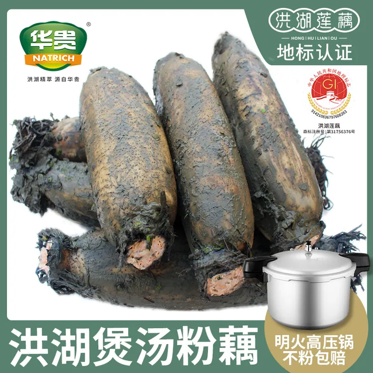洪湖粉藕正宗莲藕煲汤粉藕三斤/五斤带泥莲藕湖北特产