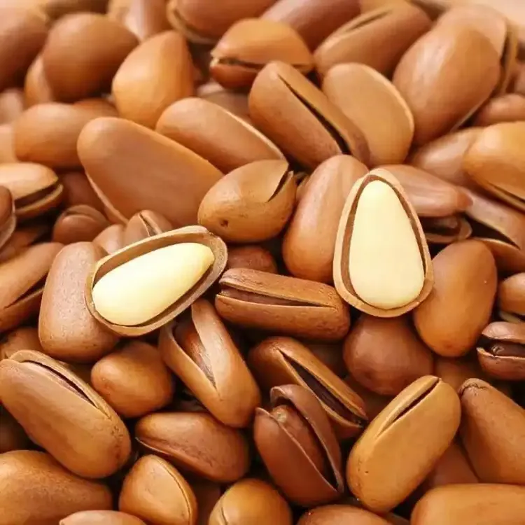 东北开口大松子（大颗粒）精品松子一等货