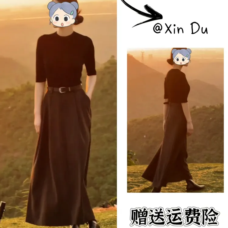 2025秋季新款时尚显瘦气质女士网红洋气两件套百搭款D22208