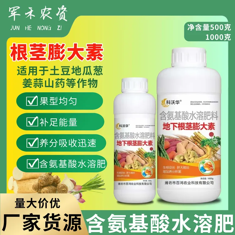 地下根茎膨大块茎膨大地瓜山药花生牛蒡葱姜蒜药材地下作物膨大肥