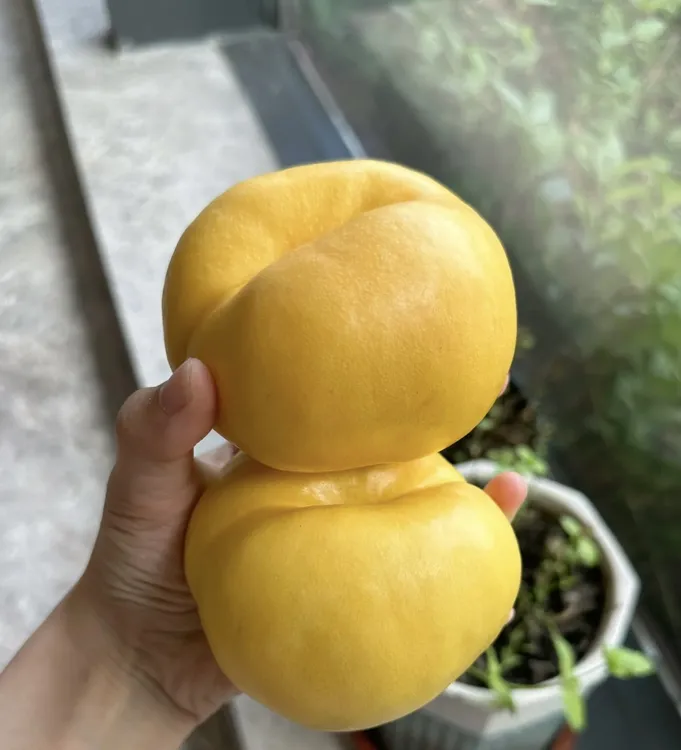 正宗蒙阴金秋之王油蟠桃