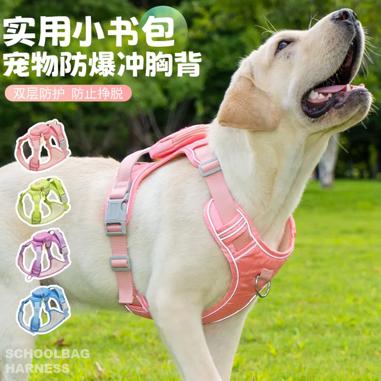 狗狗牵引绳背心式书包胸背带金毛拉布拉多狗绳子中大型犬狗链