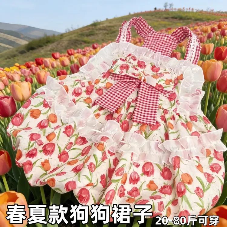 春夏季公主风裙子洛丽塔比熊萨摩耶边牧金毛中大型犬猫咪狗狗衣服