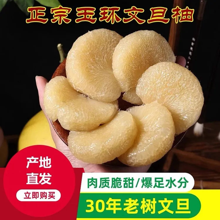 正宗玉环文旦柚子当季新鲜孕妇水果精选老树楚门蜜柚白心产地直发