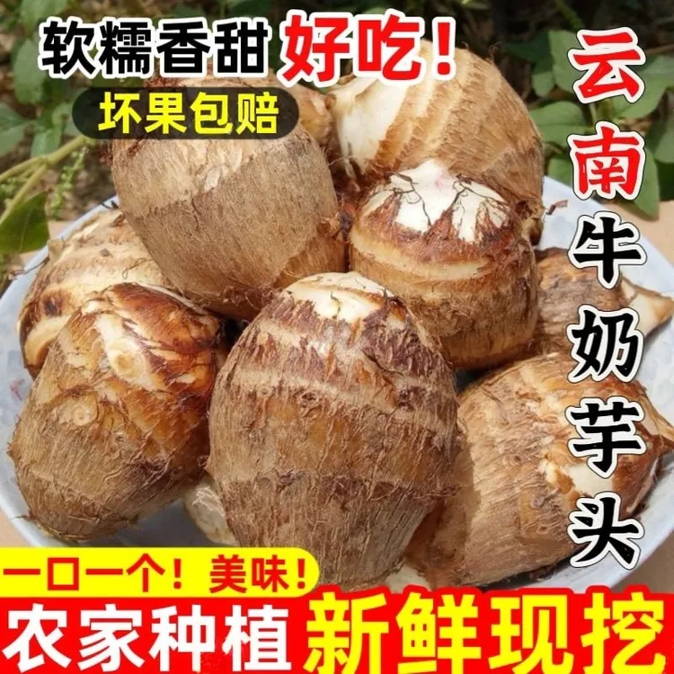 云南高山牛奶芋头小芋头香芋芋艿农家自种香糯粉滑新鲜蔬菜包邮