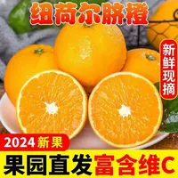 买3斤送2斤纽荷尔脐橙 维C之王当季新鲜水果带箱5斤 