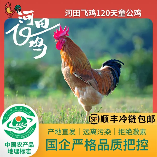 正宗农家散养河田飞鸡120天1200g公鸡营养新鲜