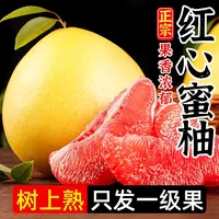 正宗福建平和琯溪蜜柚黄金酸甜比整箱现摘现发多仓发货-冰彤
