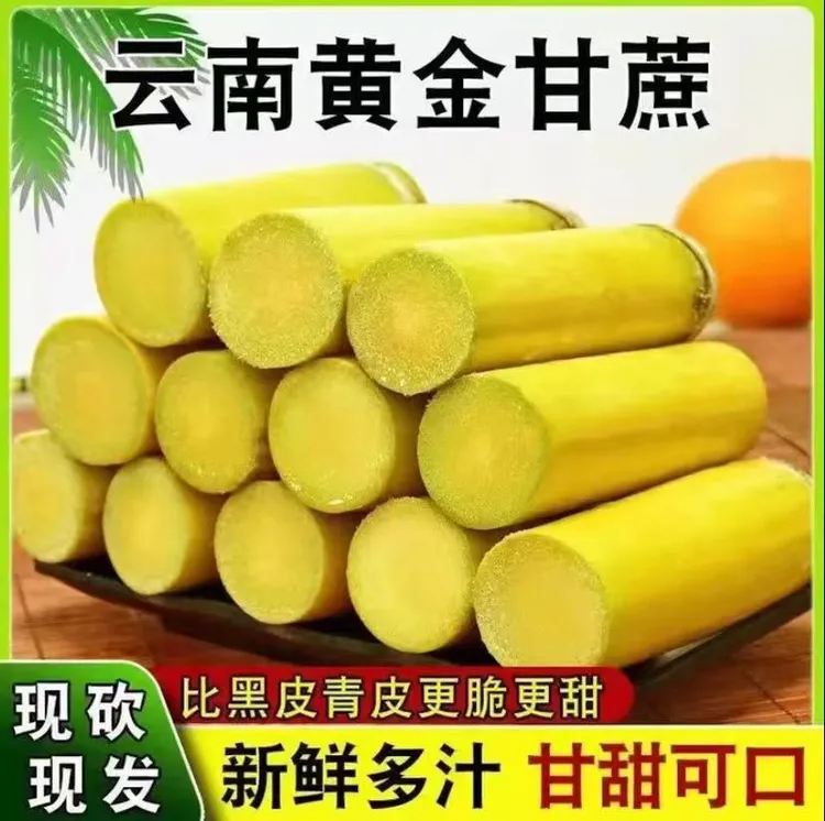 黄金甘蔗 水果甘蔗 爆甜爆汁