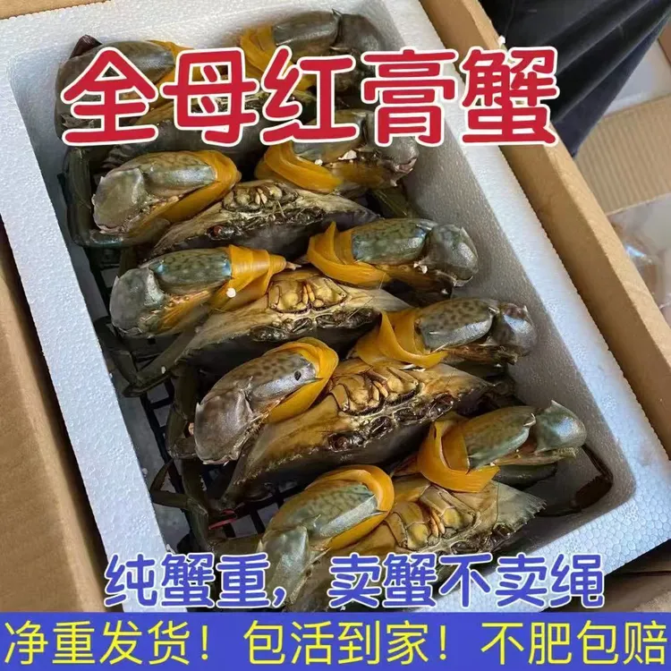 鲜活大膏蟹7-8两|只顺丰包邮快递到家江苏青蟹