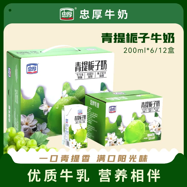 【新日期】忠厚青提栀子/草莓牛奶6盒香浓清甜营养甜牛奶牛奶推荐