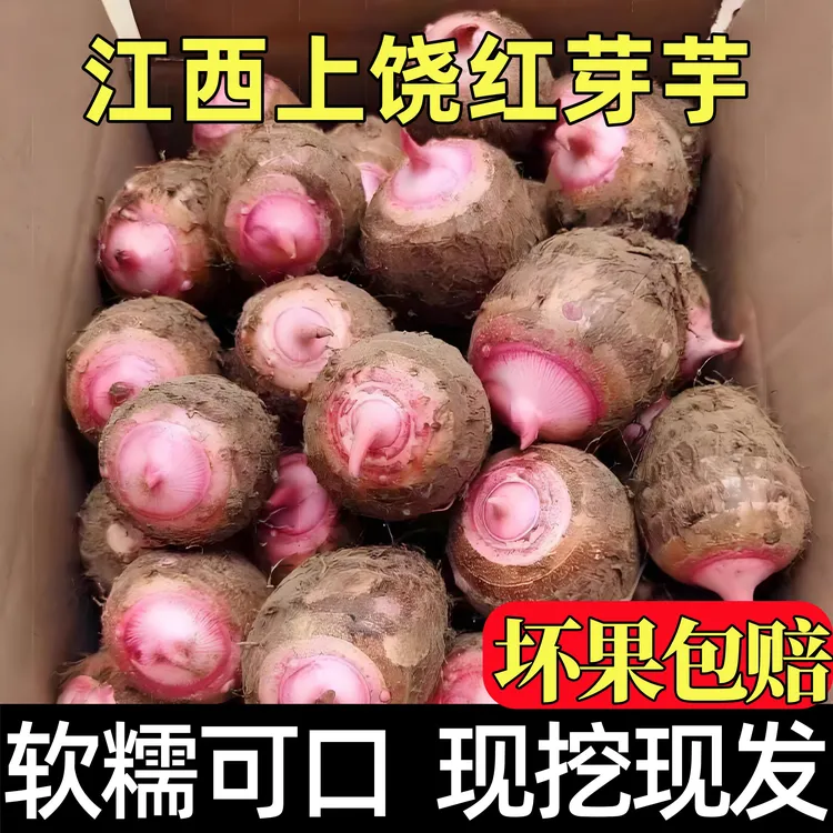 【直播正宗江西红芽芋】农家新鲜现挖现发精品红芽芋头芋艿粉糯香甜