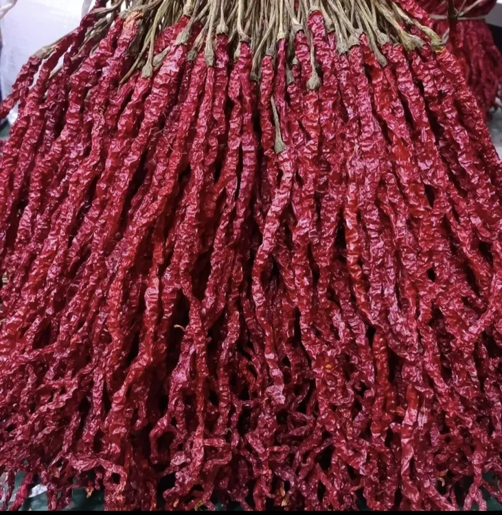 贵州大方皱椒鸡爪辣微辣特香辣椒正宗红辣椒皱皮