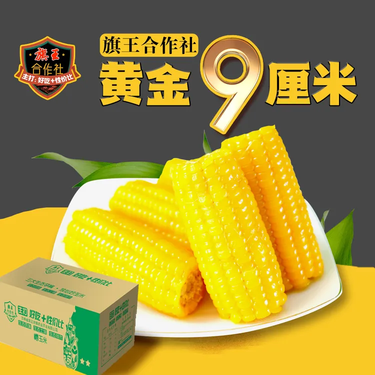 (试吃2根)东北黄糯黄金9厘米玉米段10根装